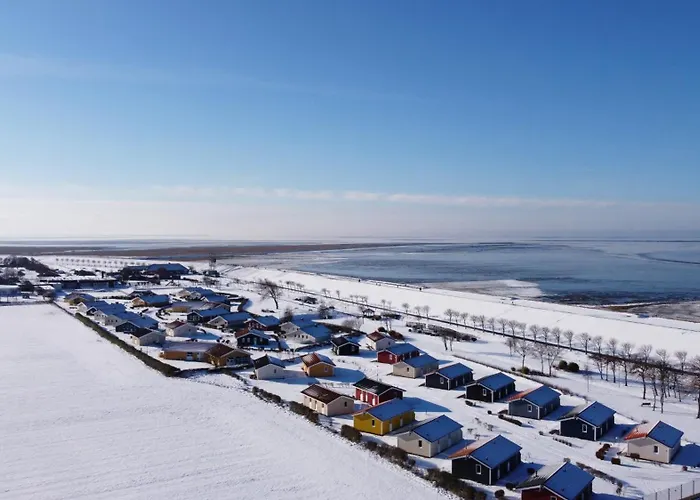 Seedeich Lea - Nordsee Friedrichskoog